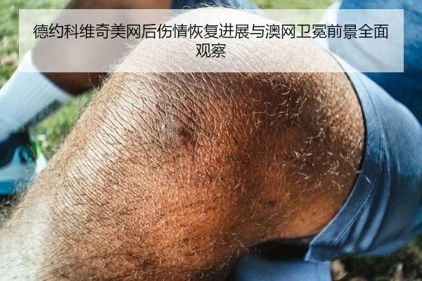 德约科维奇美网后伤情恢复进展与澳网卫冕前景全面观察